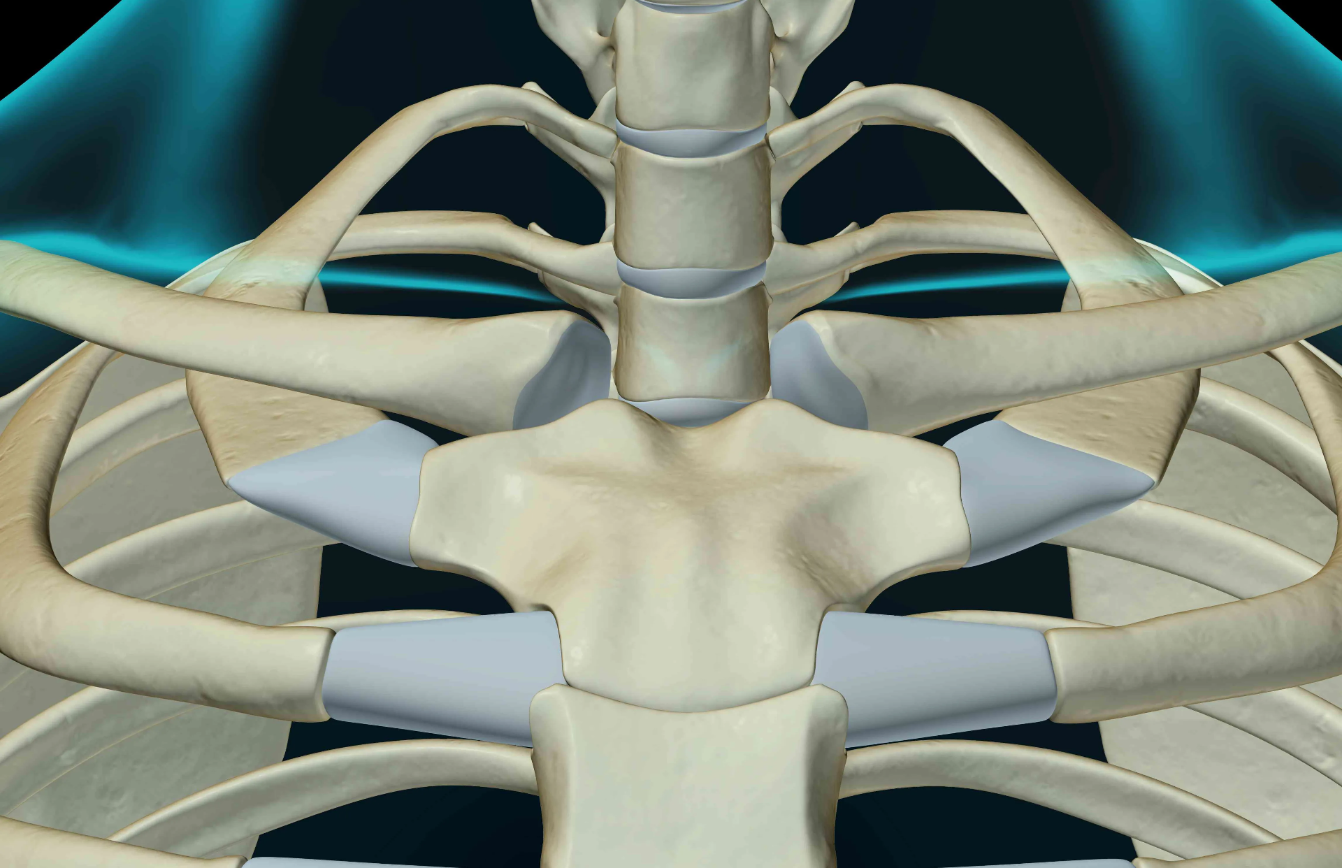 Dolor en la Articulación Esternoclavicular